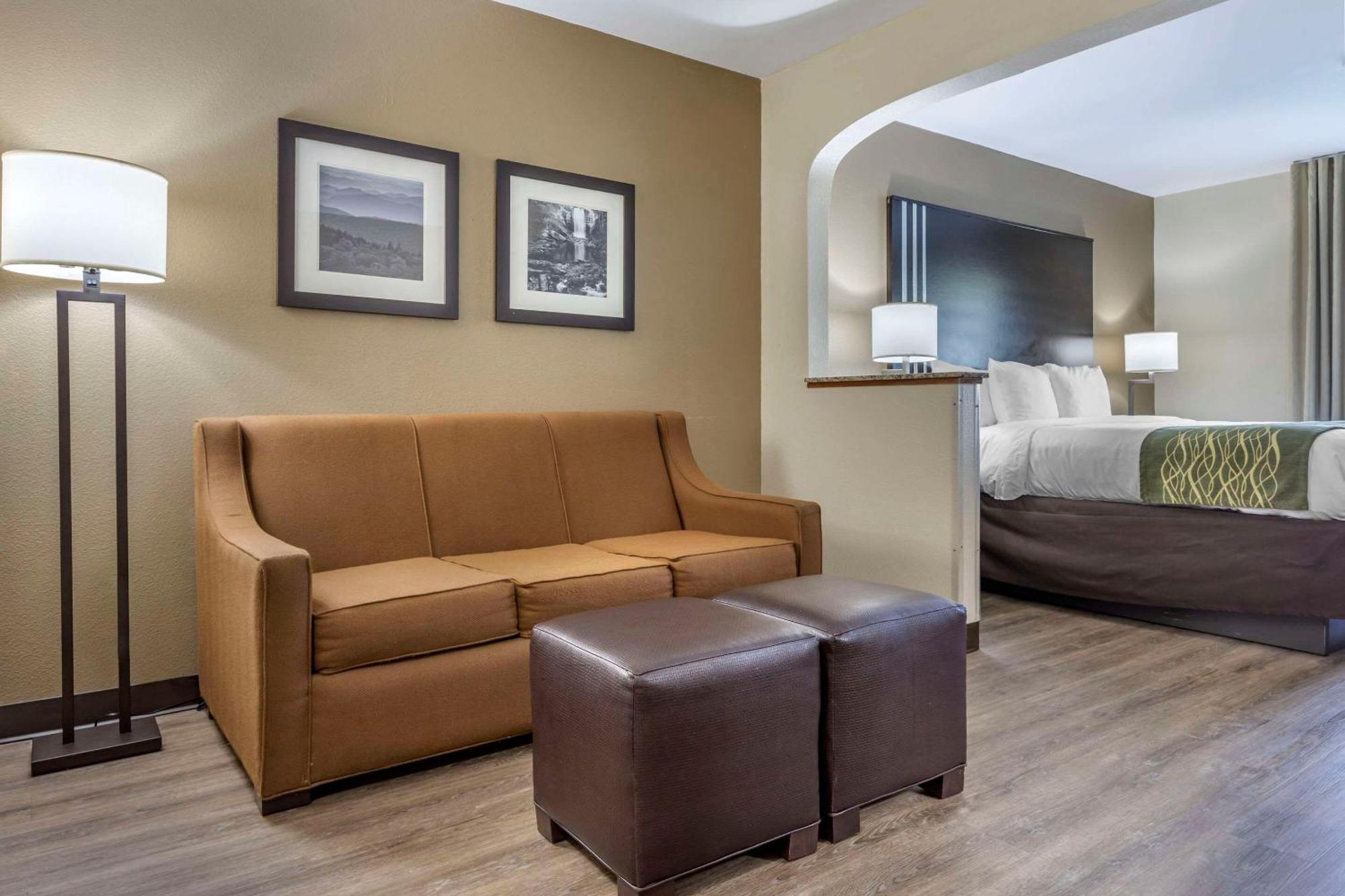 Comfort Inn Near Downtown & Blue Ridge Pkwy Маріон Екстер'єр фото