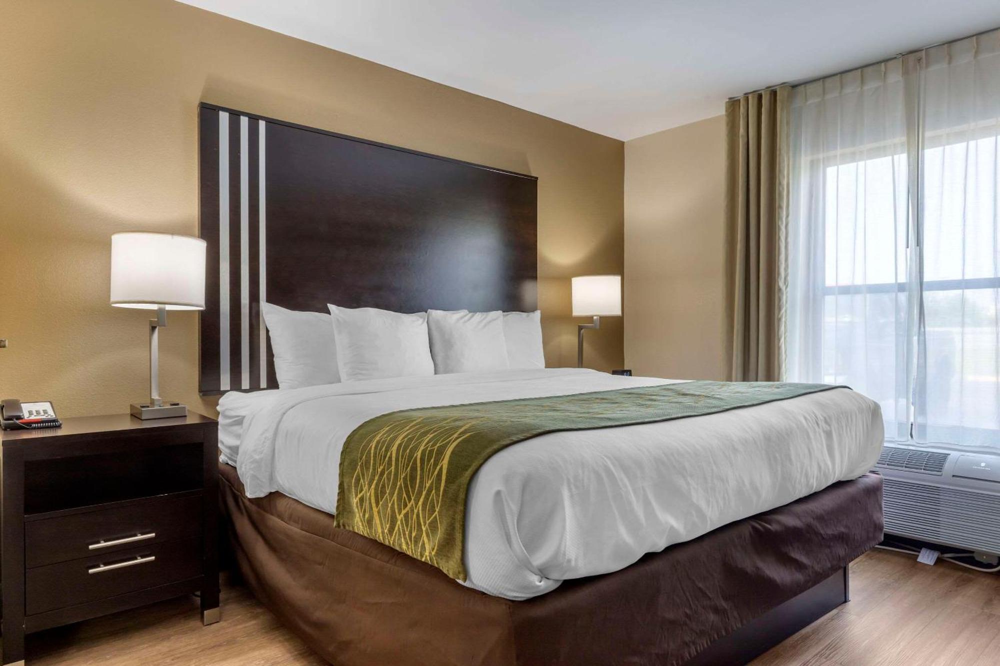 Comfort Inn Near Downtown & Blue Ridge Pkwy Маріон Екстер'єр фото